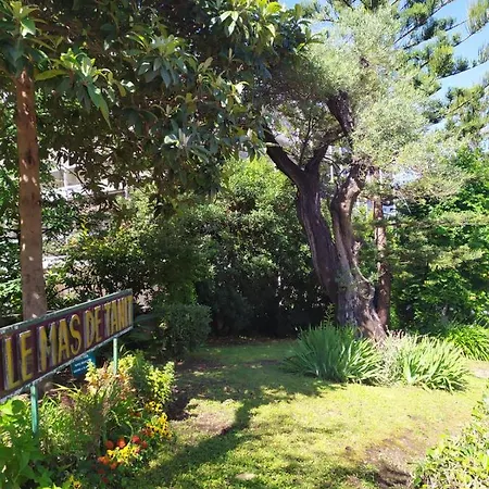 Daire Climatise A Les Pins Dans Avec Piscine Juan-les-Pins