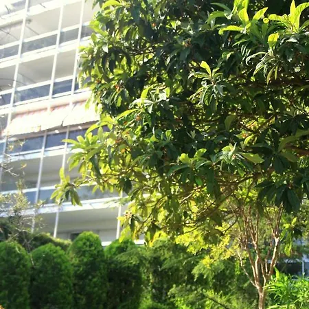 Climatise A Les Pins Dans Avec Piscine Daire *