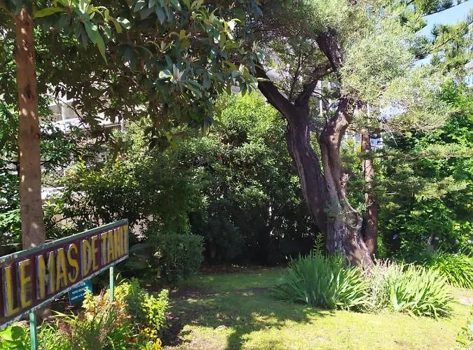 Apartment Climatise A Les Pins Dans Avec Piscine Juan-les-Pins