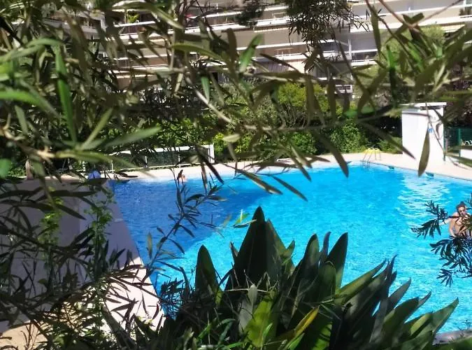 Climatise A Les Pins Dans Avec Piscine Apartment *