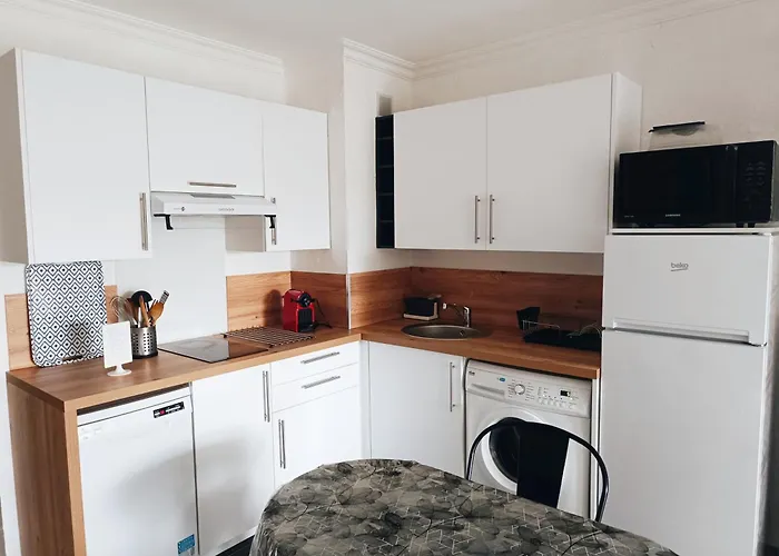 Climatise A Les Pins Dans Avec Piscine Apartment Juan-les-Pins