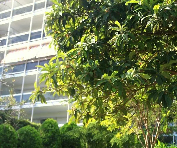 Climatise A Les Pins Dans Avec Piscine Apartment *